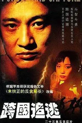 《跨国追逃》：亡命天涯，正义与阴谋交织的跨国之旅