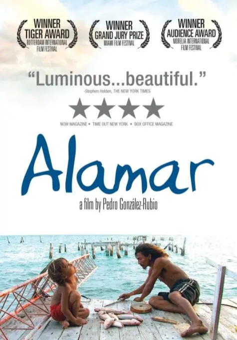 《拥抱大海》：一部关于治愈、孤独与救赎的诗意电影，感受海的呼吸！