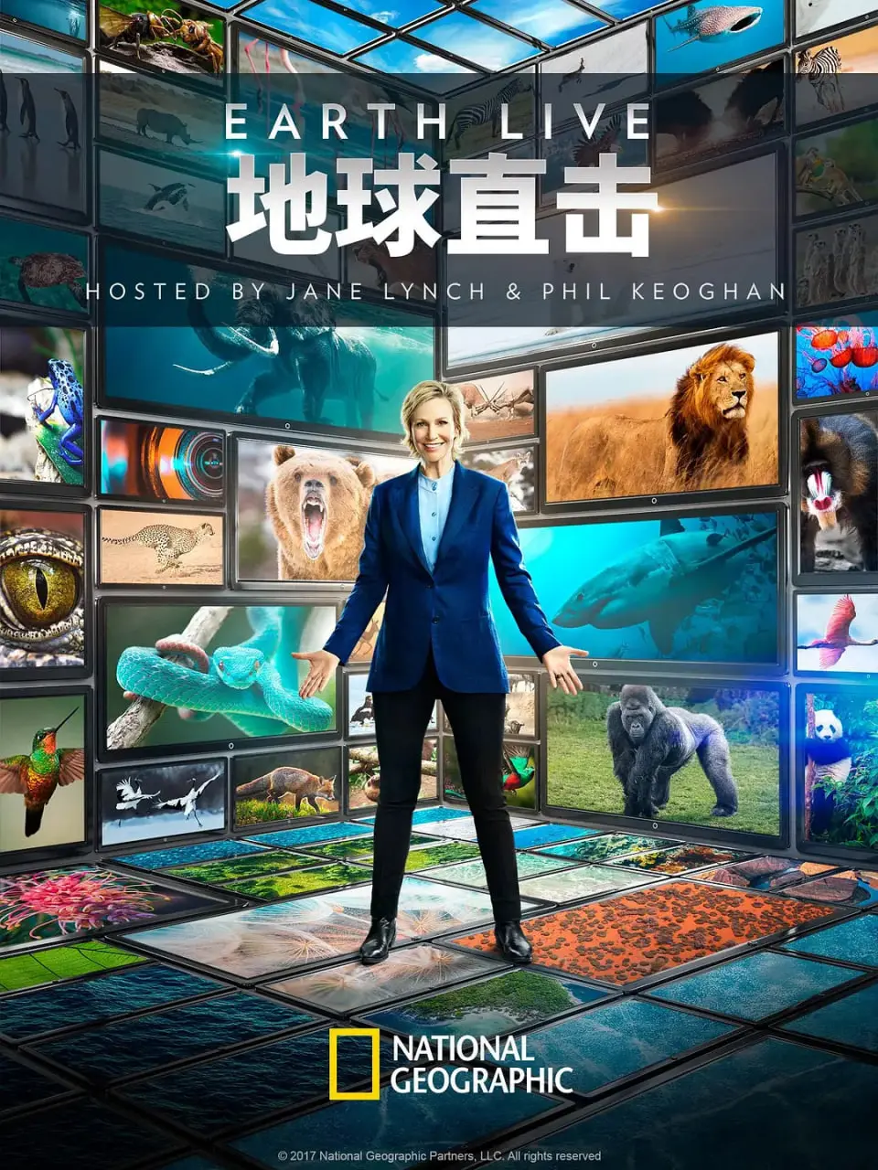 探索地球隐秘危机：电影《地球直击》揭开环境挑战的面纱，让我们直面气候变化和生物多样性保护的紧迫性