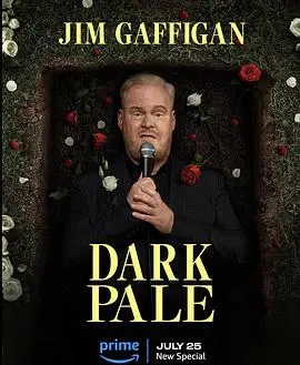 《吉姆·加菲根：深灰》：中年男人的吐槽宇宙！笑到肚子痛，却道尽生活真相！